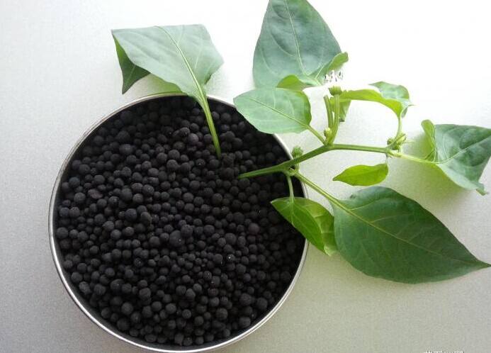 腐植酸顆粒肥對農作物會起到哪些作用